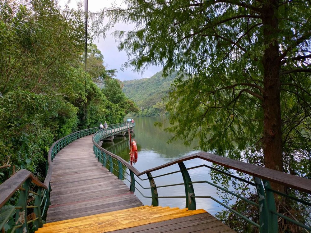 龍潭湖環湖步道(照片提供者：林芷芸、簡素枝、郭芳羚、孫永冠、釋悟覺 / 拍攝日期：2025.10.31)