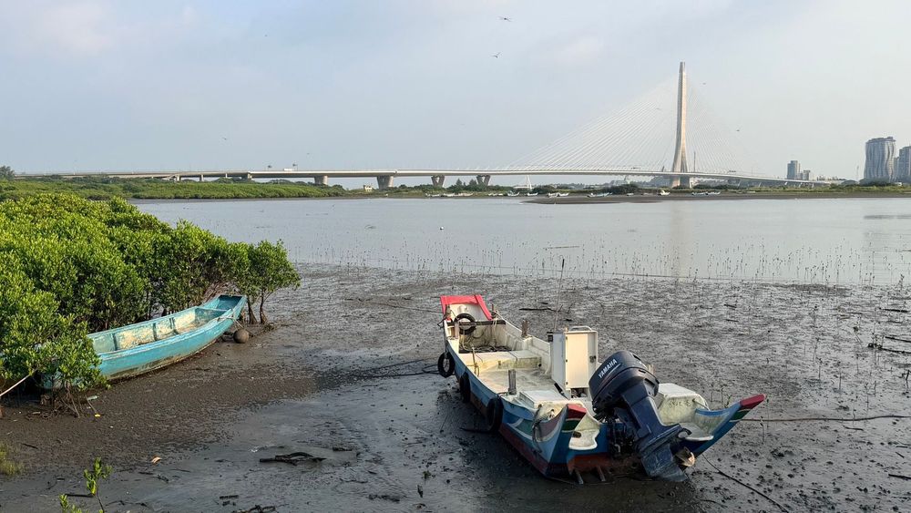挖子尾自然保留區河口景觀（照片提供者：新北市政府）