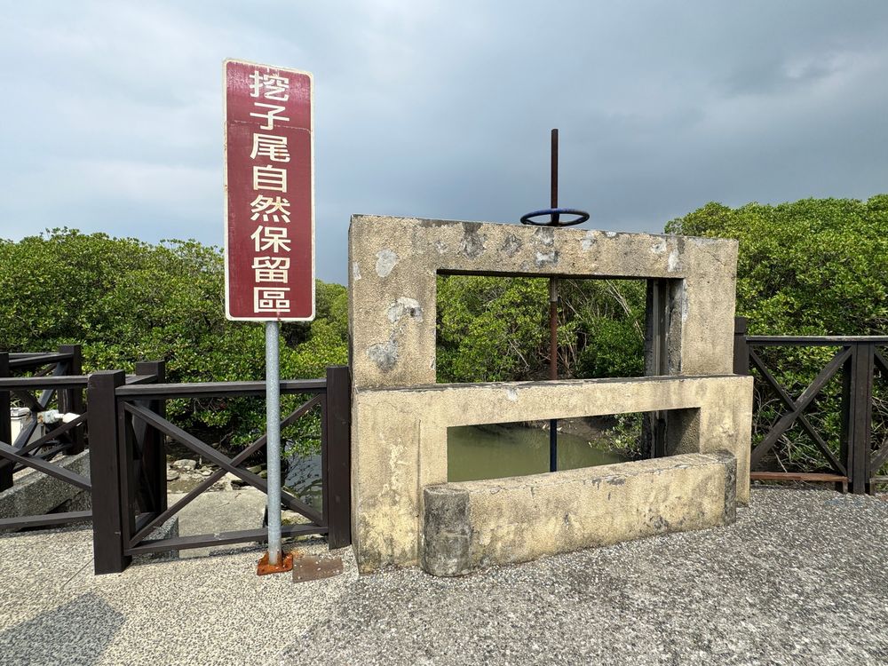 挖仔尾自然保留區入口，紅色告示牌旁矗立著一座水泥水閘，鏽蝕的閥輪靜靜佇立，後方是茂密的紅樹林。這座控制水位的閘門，默默守護著這片濕地生態的日常運作。（照片提供者：新北市教育局 / 拍攝日期：2026.08.11）