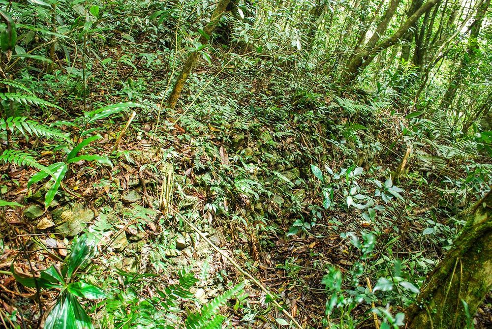 浸水營駐在所後方的石砌駁坎圍牆 提供者：原住民族委員會原住民族文化發展中心／拍攝日期：109.11.27