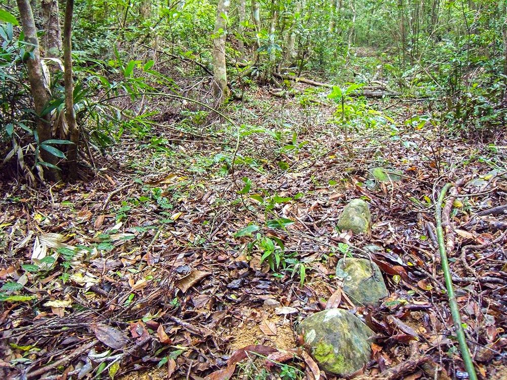 出水坡稜線上的清代古道路肩立石 照片提供者：原住民族委員會原住民族文化發展中心／拍攝日期：109.11.27
