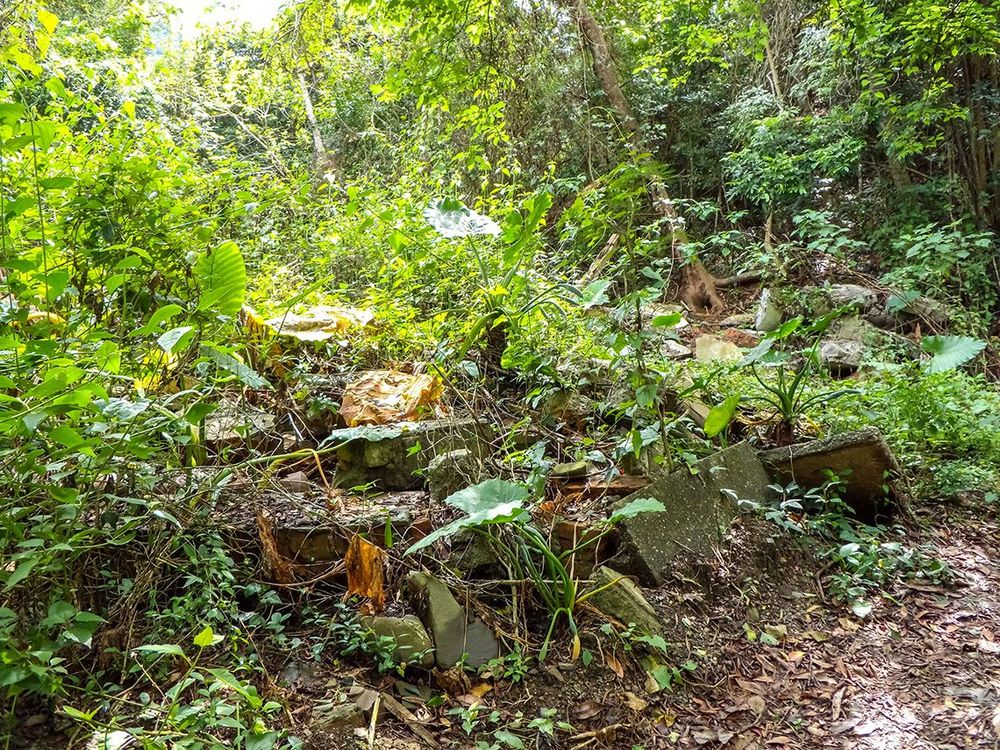 戰後修建的造林苗圃工作站，現已拆除 照片提供者：原住民族委員會原住民族文化發展中心／拍攝日期：109.11.27