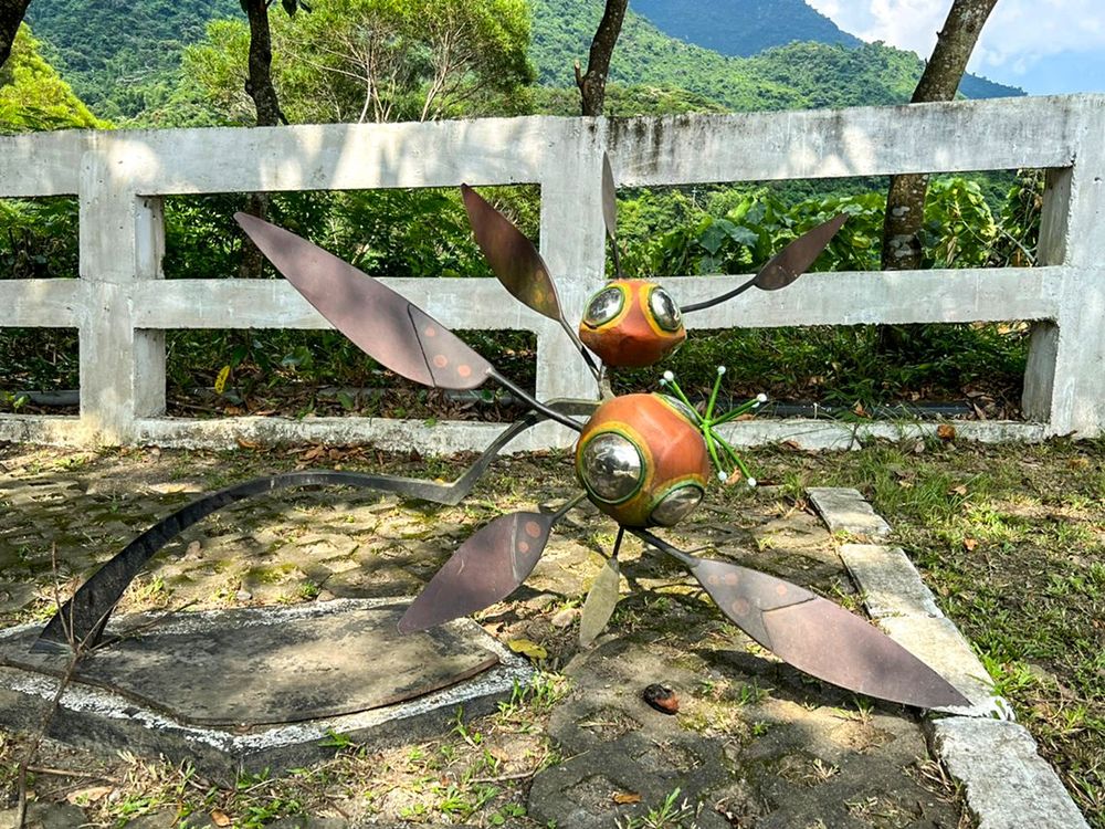 心花朵朵開 Heart Blossoms 照片拍攝者：原住民族委員會原住民族文化發展中心 / 拍攝日期：2022