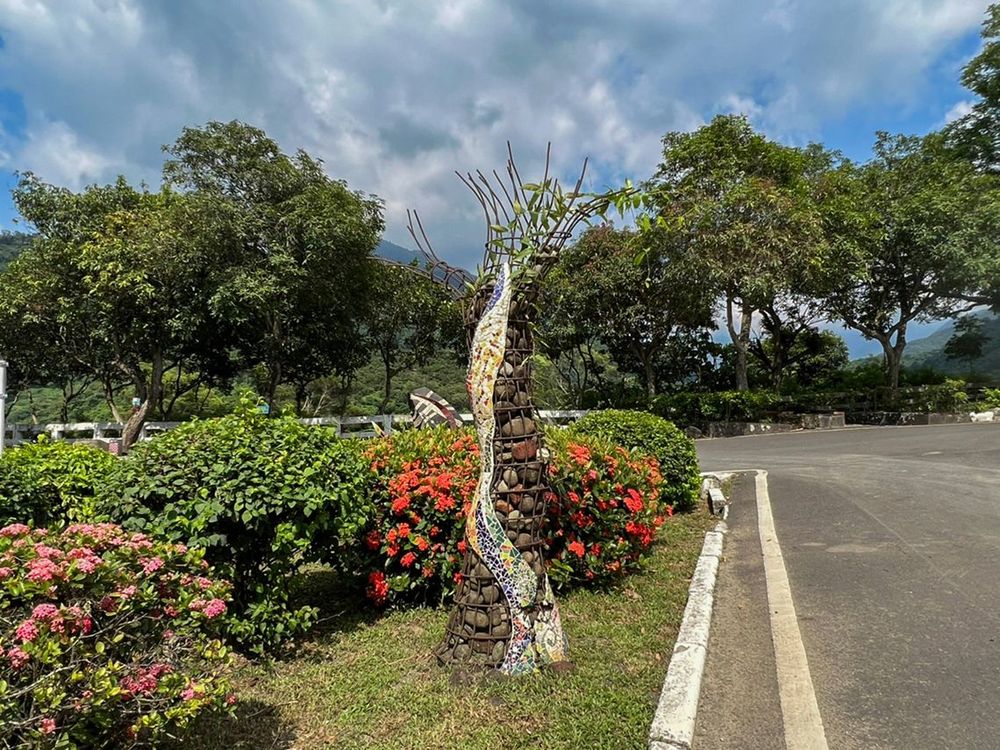 《安》樹 Peace Tree 照片拍攝者：原住民族委員會原住民族文化發展中心 / 拍攝日期：2022