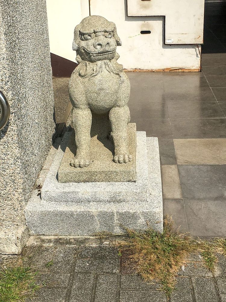 保存在佳冬高農的狛犬(母) 照片拍攝者：客家委員會客家文化發展中心提供 / 拍攝日期：2022