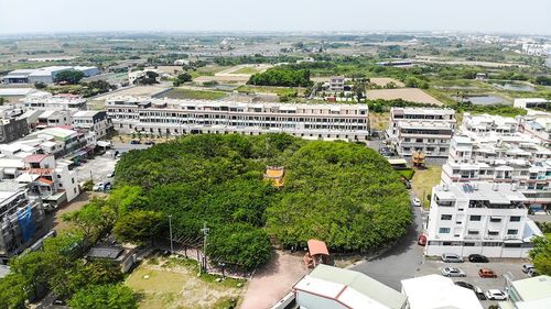 02十二佃神榕